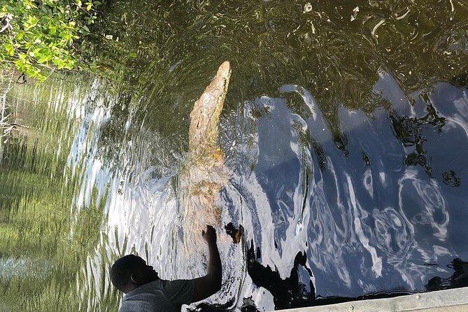 Black River Safari and YS Water Falls - Who this tour fits best (and who should rethink it)