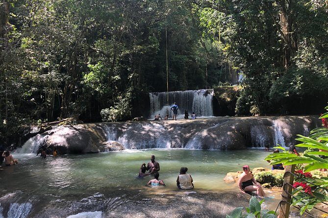 Black River Safari, YS Falls and Appleton Estate - Key Things I’d Watch For
