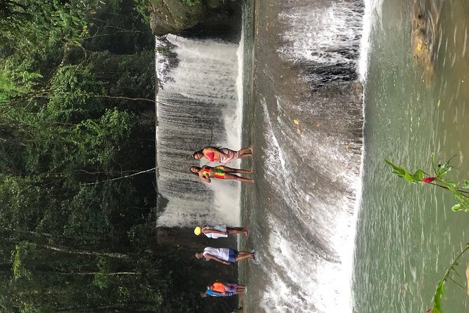 Black River Safari, YS Falls and Appleton Estate - Appleton Estate and the Joy Spence Rum Experience: Learn How Rum Gets Made