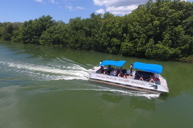 Black River Safari, YS Falls and Appleton Estate - What the Guides Do With Your Day