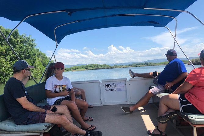 Black River Safari, YS Falls and Floyd's Pelican Bar - Stop 2: YS Falls pools, zipline views, and lunch planning
