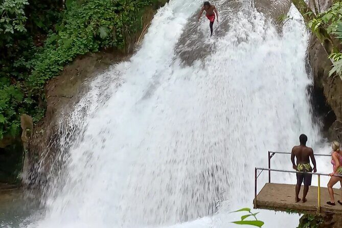 Blue Hole Adventure Ocho Rios. - The tea garden layer: a calmer Jamaica moment