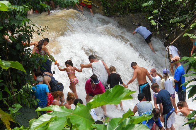 Blue Hole and Dunn's River Falls from Montego Bay - Pickup, Ride Time, and How Private Changes Your Day