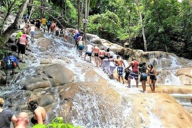 Blue Hole and Dunn's River Falls from Ocho Rios - Key Highlights You’ll Actually Care About