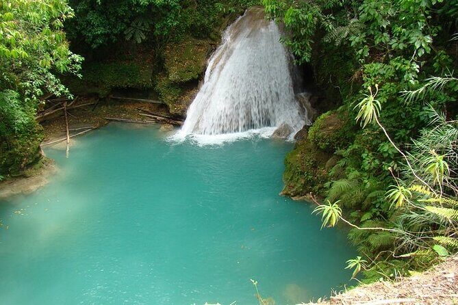 Blue Hole and Dunn's River Tour (Entrance Fees Not Included) - The driver experience that makes or breaks the day