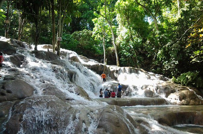 Blue Hole, Dunn's River Falls Luminous Lagoon Excursion From Montego Bay - Luminous Lagoon at Sunset: The Bioluminescence Moment
