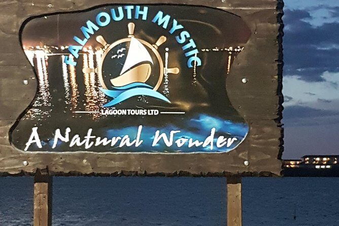Blue Hole, Dunn's River Falls Luminous Lagoon Excursion From Montego Bay - What to Pack for a Water Day in the Ocho Rios Area