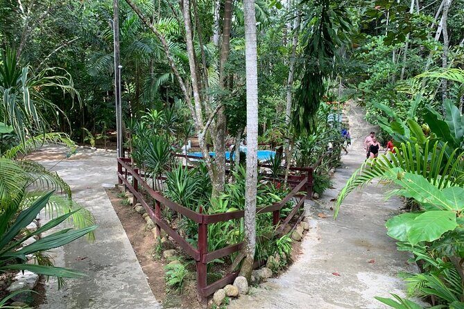 Blue Hole & Dunn's River Falls with Lunch from Negril - Who This Tour Suits Best (and Who Might Skip)