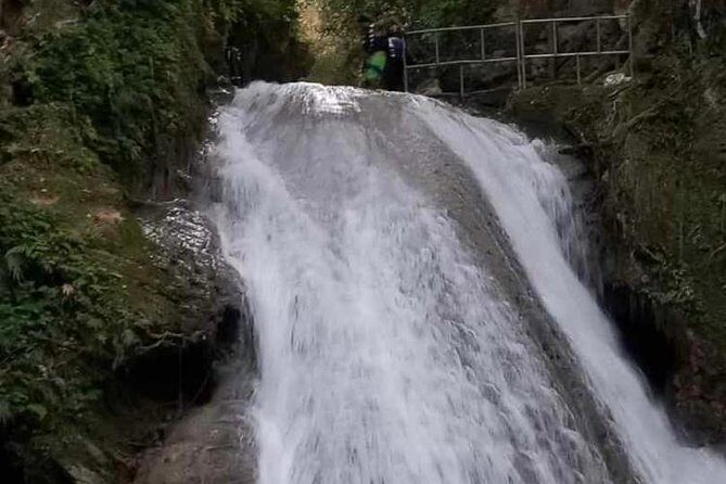 Blue Hole Secret Falls and Bob Marley Nine Mile Private Tour - What to expect during the Secret Falls hike
