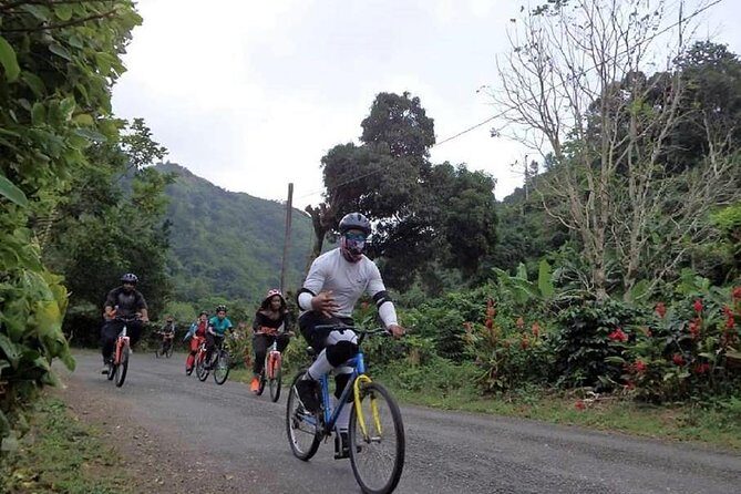Blue Mountain Bicycle Tour from Montego Bay - Downhill biking in the Blue Mountains rainforest: what you’re really doing