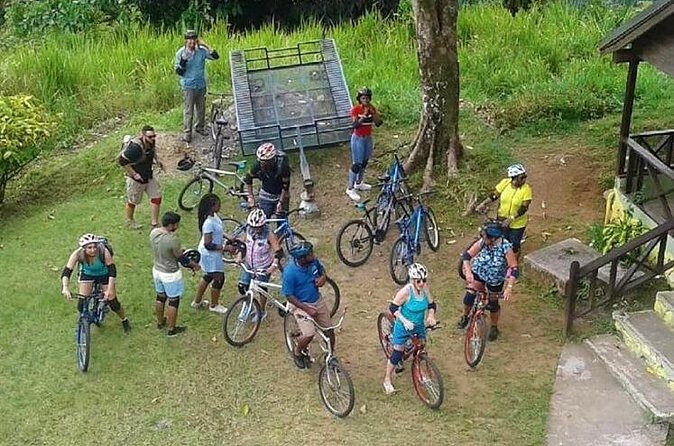 Blue Mountain Bicycle Tour from Montego Bay - Food on the go: light breakfast, brunch, and lunch expectations