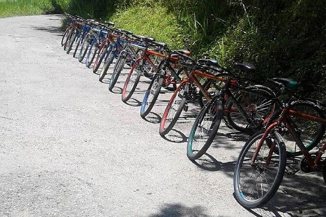Blue Mountain Bicycle Tour from Montego Bay - Price check: is $192.31 good value from Montego Bay?