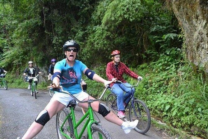 Blue Mountain Bicycle Tour from Montego Bay - Group size and family fit: can kids and beginners handle it?