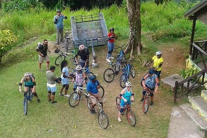 Blue Mountain Bicycle Tour from Montego Bay - Coffee fields on the mountain: seeing Blue Mountain cultivation up close