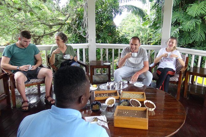 Blue Mountain Coffee and Sightseeing Tour - The day’s flow: from Blue Mountains Park to Devon House sweets