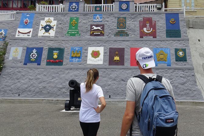 Blue Mountain Coffee and Sightseeing Tour - Newcastle JDF Camp: a quick Kingston view with military history context