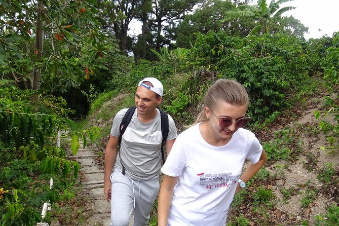 Blue Mountain Coffee and Sightseeing Tour - Guide style and commentary: why the “how” matters on this tour