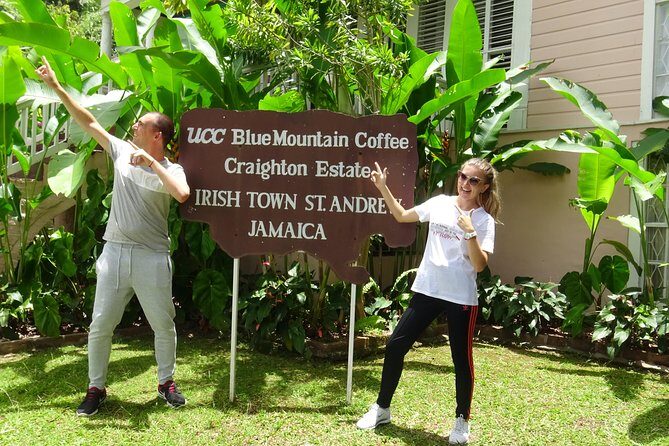 Blue Mountain Coffee and Sightseeing Tour - Comfort check: pickup, vehicle condition, and weather