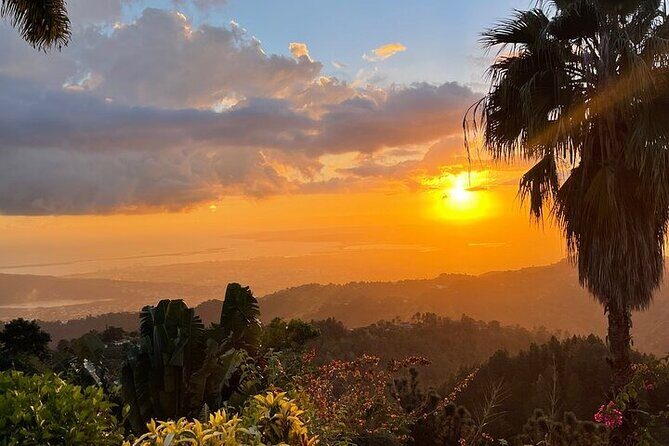 Blue Mountain Coffee, Bob Marley and Art Tour from Montego Bay - Climb into the Blue Mountains: the Craighton Estate coffee experience