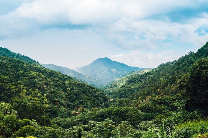 Blue Mountain Highlights - From Ocho Rios to the Blue Mountains: how the day actually flows