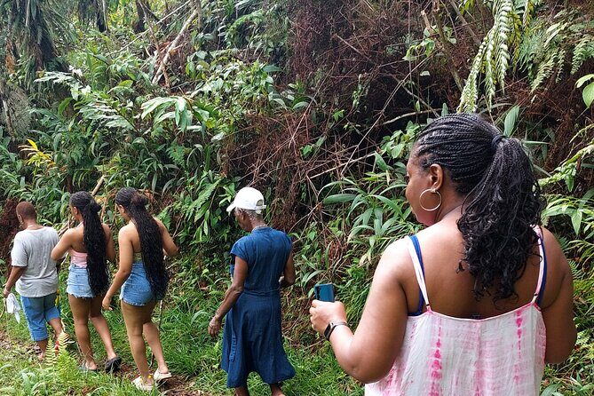 Blue Mountain Sight-Seeing & Nature Trail Hike with Private Guide - Key things to know before you go