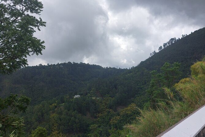 Blue Mountain Sight-Seeing & Nature Trail Hike with Private Guide - Views, rain-forest air, and why the guide changes everything