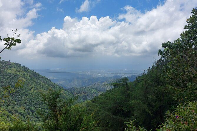 Blue Mountain Sight-Seeing & Nature Trail Hike with Private Guide - Transportation and comfort: the not-so-glam part that saves your day