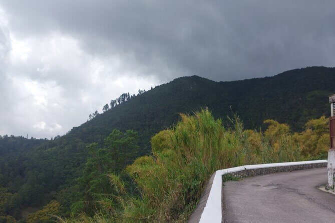 Blue Mountain Sight-Seeing & Nature Trail Hike with Private Guide - What to bring for Holywell Park (and what to skip)