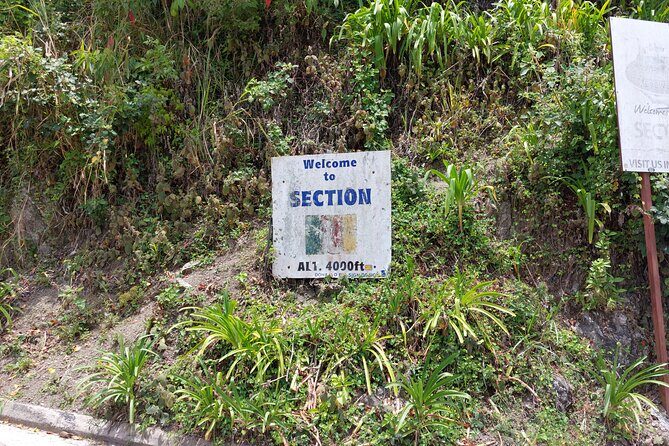 Blue Mountain Sight-Seeing & Nature Trail Hike with Private Guide - Newcastle: from British military hill station to today’s use