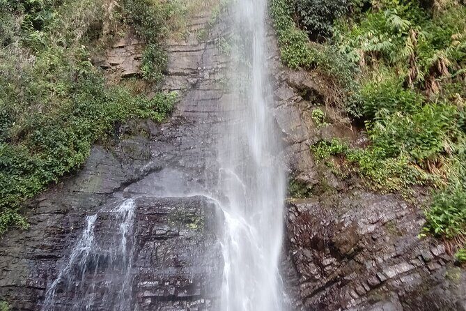 Blue Mountains Peak Hike - The Return and the Local Food Cook-Up: The Best Kind of Ending