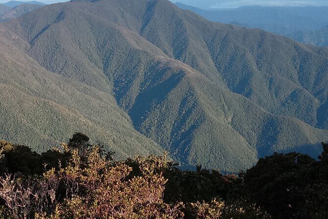 Blue Mountains Peak Hike - Price and Value: Is $260 Worth a Ranger, Jeep, and a Full-Day Program?