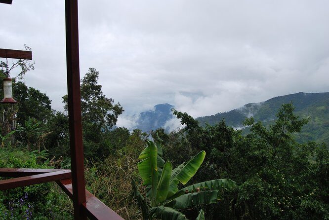 Blue Mountains Peak Hike - Logistics That Matter: Pickup, Mobile Ticket, and Avoiding Day-Of Headaches