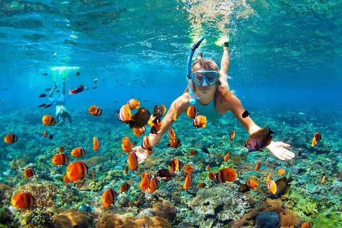 Boatride & Snorkeling then Margaritaville Hipstrip Activity - What This Montego Bay Snorkeling + Margaritaville Day Is Really Like