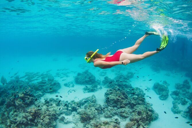 Boatride & Snorkeling then Margaritaville Hipstrip Activity - Margaritaville on the Hip Strip: Chill Time on Jimmy Cliff Boulevard