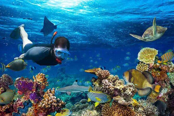 Boatride & Snorkeling then Margaritaville Hipstrip Activity - Booking Window: When to Reserve (and Why It’s Smart)