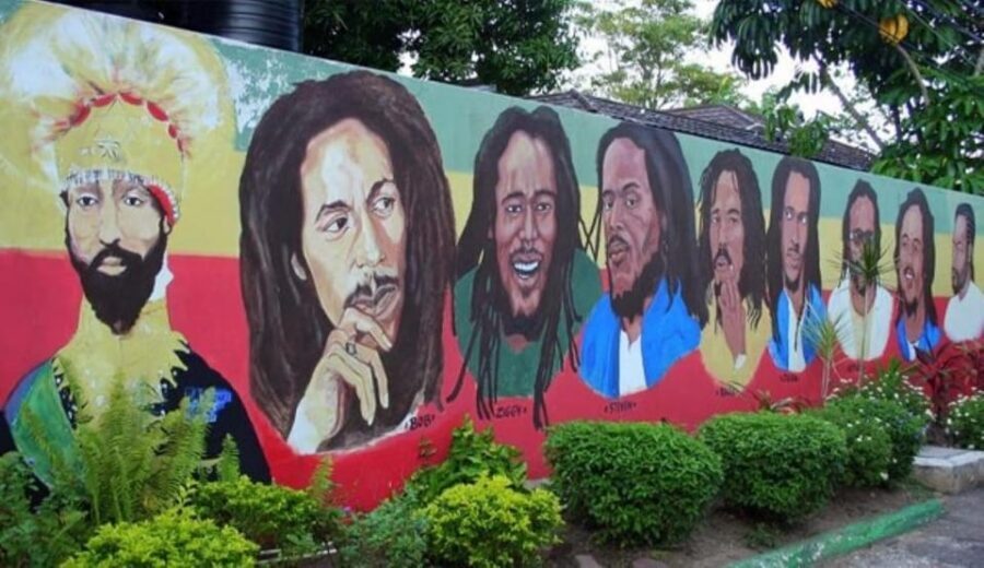 Bob Marley Guided City Tour - Air-Conditioned Private Transportation: Comfort That Helps You Move Fast