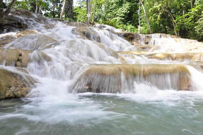 Bob Marley Nine Mile and Dunns River Combo from Ocho Rios - Key Highlights You’ll Actually Care About