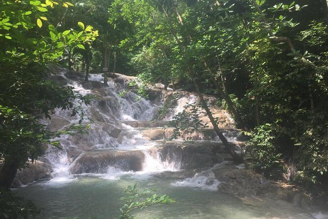 Bob Marley Nine Mile and Dunns River Combo from Ocho Rios - Guides, Drivers, and Why Names Matter