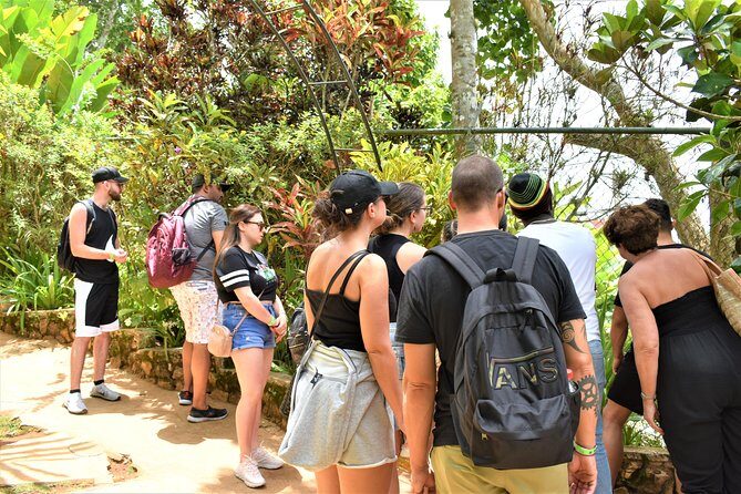 Bob Marley's Nine Mile Day-Trip w/Admission & Guided Tour from Grand Palladium - Discovery Bay and Columbus Park: a short stop with smart context