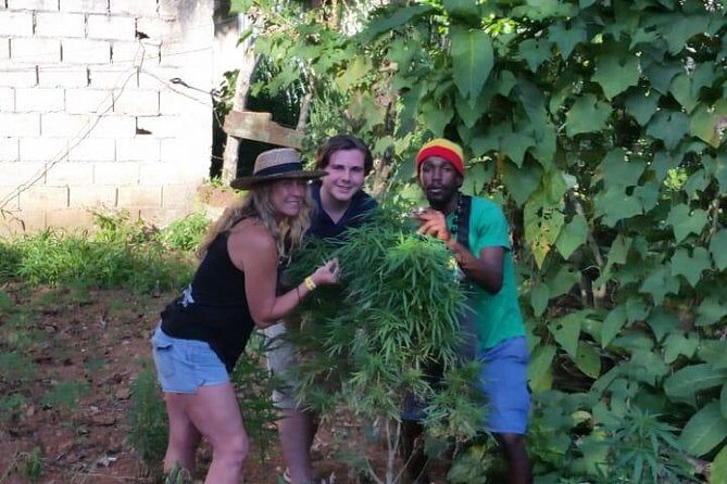 Bob Marley's Nine Mile & Dunns River Falls Tour: Transportation & Ticket - How long is the day really, and how should you plan around it?