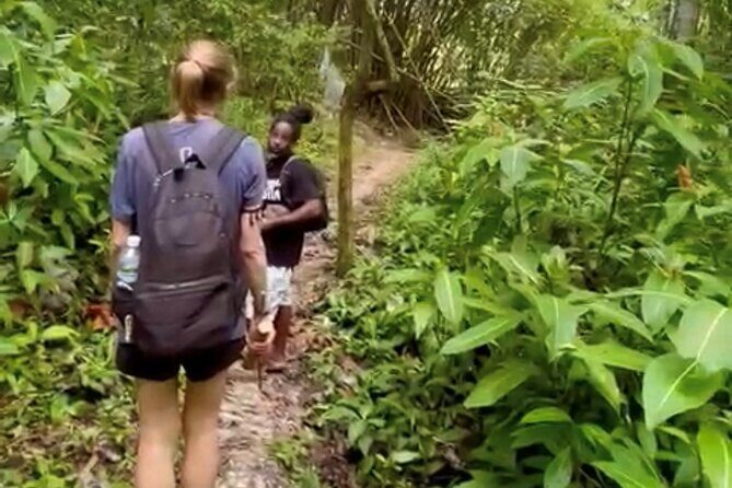 Bush Hiking to explore Wild Plants & Fresh Fruits,Montego Bay - Walking through wild bushes with a guide from Lethe