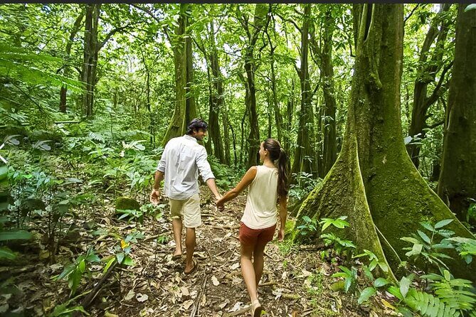 Bush Hiking to explore Wild Plants & Fresh Fruits,Montego Bay - What you’re paying for: $160 with transport, water, and taxes included