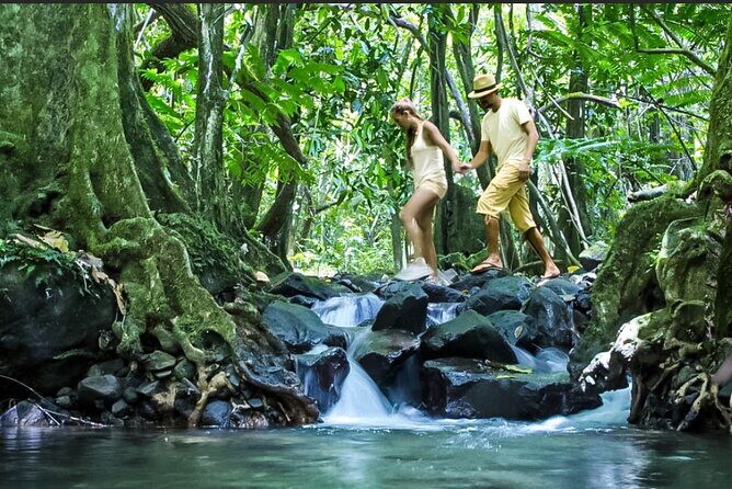 Bush Hiking to explore Wild Plants & Fresh Fruits,Montego Bay - Who should book this Lethe bush hike, and who might skip it