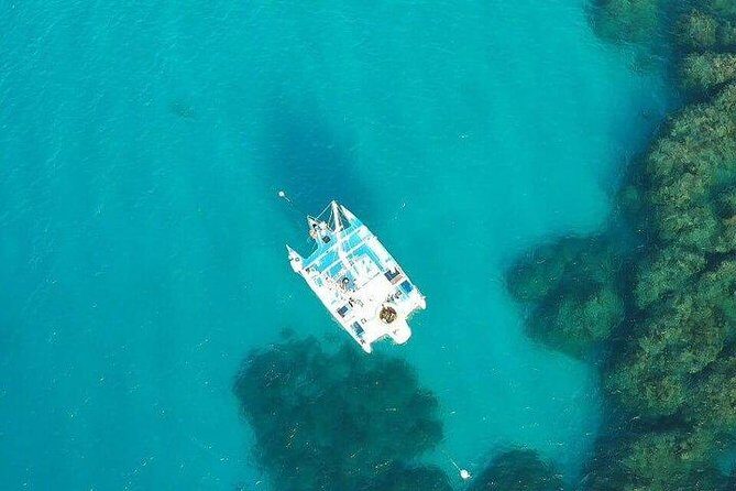 Catamaran, snorkeling & Dunn's River Falls - Key things to know before you go
