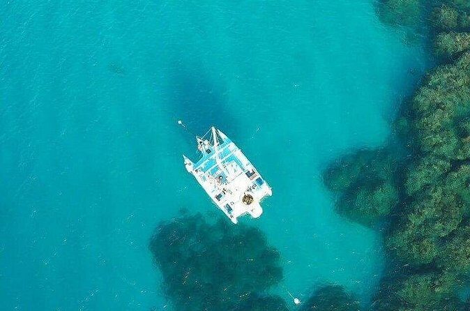 Catamaran, snorkeling & Dunn's River Falls - Should you book this catamaran, snorkeling & Dunn’s River Falls day?