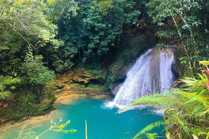 Combo Tour Dunn's River Falls and BlueTour from falmouth - Air-Conditioned Comfort Plus Guided Pace: Why the Group Size Matters