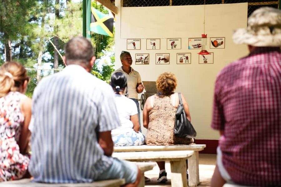 Croydon in the Mountains - Eco Farm Tour with Lunch - Key Things to Know Before You Go