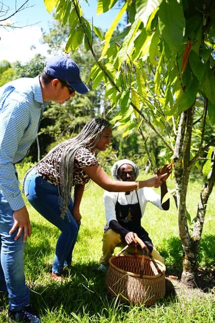 Croydon in the Mountains - Eco Farm Tour with Lunch - Hotel pickup, 4 hours, and how to plan your day without stress