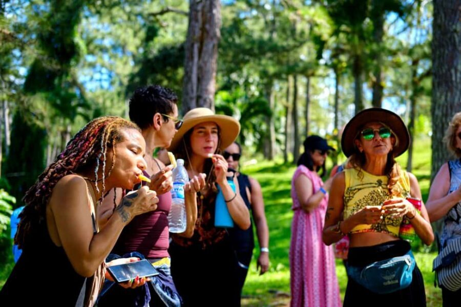 Croydon in the Mountains - Eco Farm Tour with Lunch - The 10:00 am start: Samuel Sharpe and your quarter-mile walk
