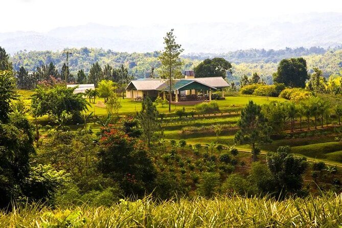 Croydon In The Mountains - Exotic Fruits & Flowers - Key highlights to know before you go